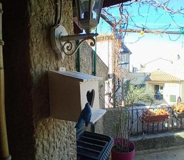 Saint-Martin-d'Ardeche Apartment | Gîte Chez Dado & Denis Saint Martin d'Ardèche