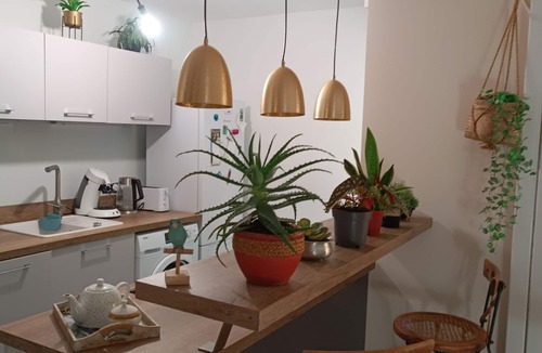 Lattes Apartment | Garden apartment with SPA between the Sea and Montpellier 14mn