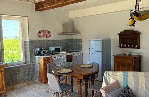 Violes Apartment | Gite in the Abtrus Vineyards at Mas Des Armouriers, with Pool