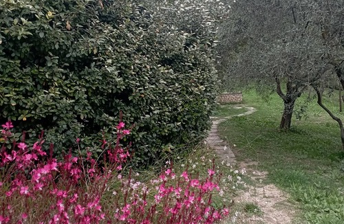 Saint-Saturnin-les-Apt House | Gite le petit colibri provençal cottage by the pool