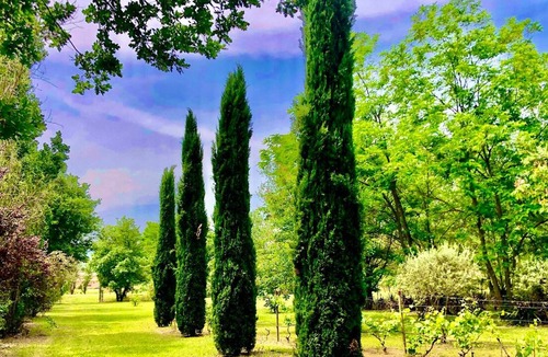 Roussillon Villa | Homerez - Beautiful villa for 4 ppl. with swimming-pool and terrace at Gordes