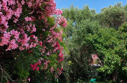 Port-Saint-Louis-du-Rhone Villa | House with garden