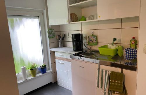 Milbitz Apartment | Kleines Studio mit Gartenzugang