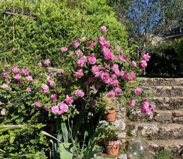 Turenne Bed & Breakfast | La chambre d'Oloa