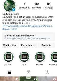 Rognac Hotel | La Jungle Room
