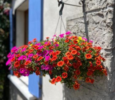 Marat Bed & Breakfast | La Maison du Chevalier - Chambres et tables d'hôtes