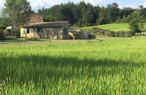 Sault Bed & Breakfast | Le Jas du Mont Ventoux