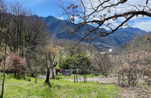 La Trinite House | Le Soleil de Flaut Beautiful studio house Nature