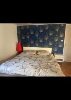 Ledignan House | Les oliviers