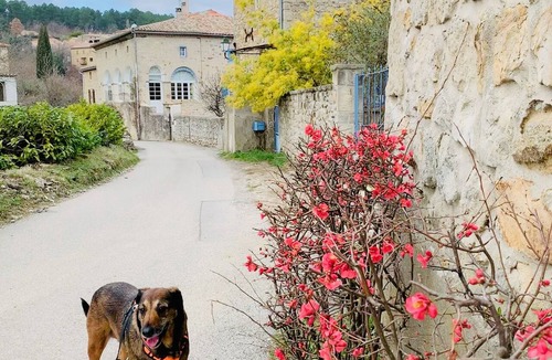 Saint-Paul-le-Jeune House | Lodging for family or little group of 9 to 11 people