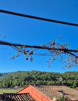 Sainte-Anastasie-sur-Issole Apartment | Maison de village en Provence verte