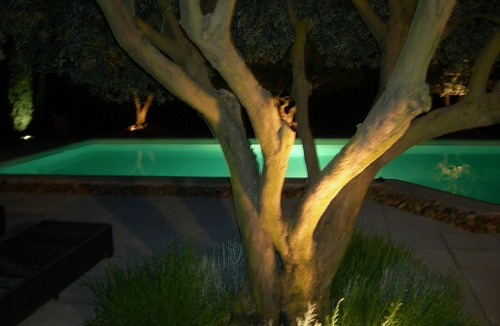 Jonquieres House | Maison Le Clos des Oliviers in the heart of Provence in Vaucluse for 4 people