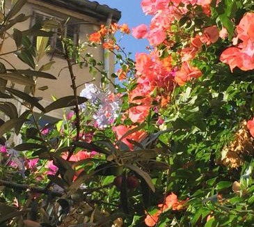 Thiers Bed & Breakfast | Maison Olea