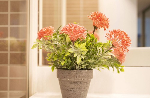 Jean-Medecin Apartment | PALAIS LIBERTE AP1088 by RIVIERA HOLIDAY HOMES