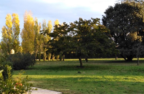 Aubignan Apartment | Rental for 2p in quiet wooded park with swimming pool, possibility for 4p