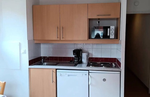Puy-Saint-Vincent Apartment | Residence The Gentianes - Studio 4 people-Residence LES GENTIANES