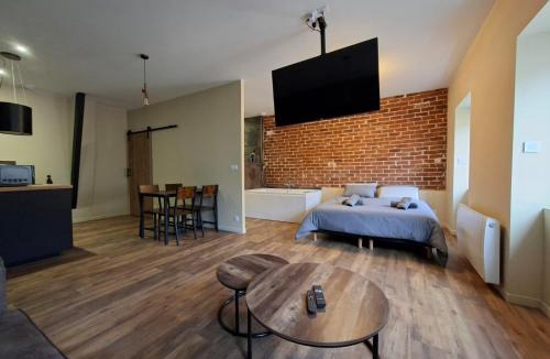 Feurs Apartment | Spa d'Assier