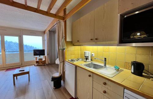 Villard-de-Lans Apartment | Spacieux Studio Rénové 39m² avec Balcon, Garage - Villard-de-Lans - FR-1-515-166