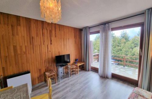 Saint-Michel-de-Chaillol Apartment | Studio 4 pers, terrasse sud-ouest, centre station, animaux admis - Saint-Michel-de-Chaillol - FR-1-393-131
