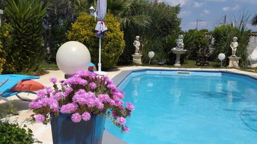 Perols House | SUITE-Junior -Villa HÉLÈNE - Montpellier Sud - aéroport- PISCINE Privée-2mn des plages