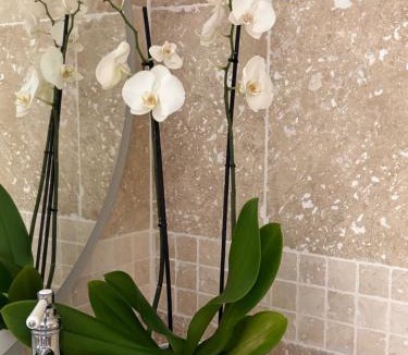 Codolet Hotel | Suite Prestige