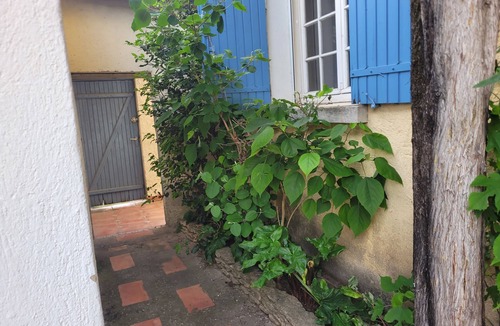 Montfavet House | Summer rental Avignon festival House 100m2. Perfect for relaxing.
