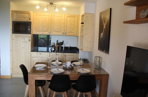 Mont-de-Lans Apartment | THE CRYSTAL CHALET Apartment standing with balcony view impregnable ski-in ski-out