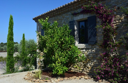 Aureille Cottage | The heart of Provence Provencal farmhouse and olive orchard.
