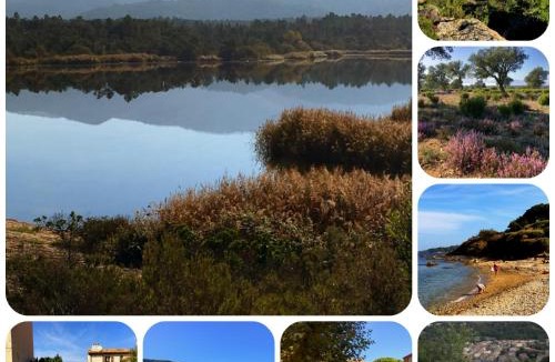 La Garde-Freinet House | The Nut House