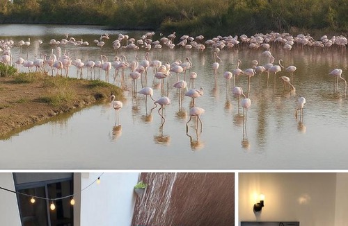 Candillargues Villa | Villa l'Eden de Camargue- Spa et Nature