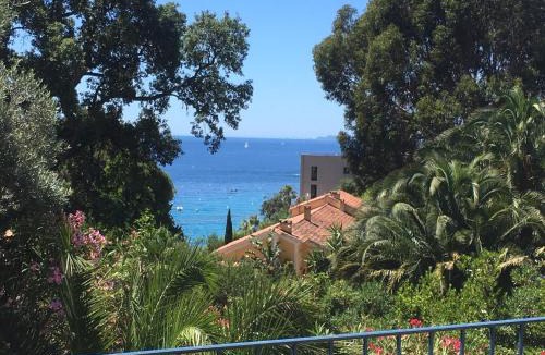Le Rayol Villa | Villa Olivea