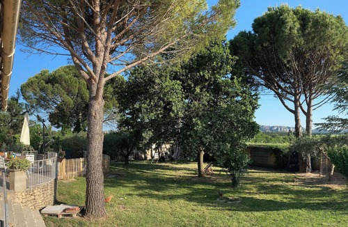 Pujaut House | Villa Taeo in Provence
