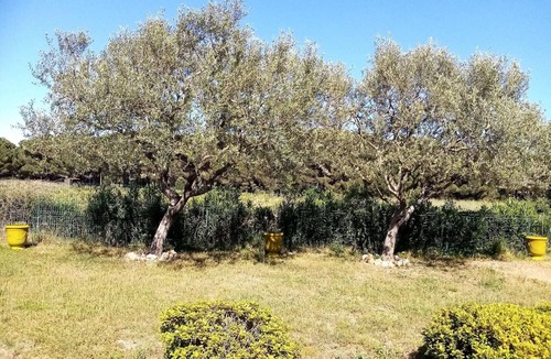 Ramatuelle Villa | Villa with swimming pool in Ramatuelle - plaine de Pampelonne