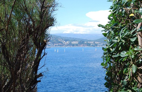Sanary-sur-Mer Villa | Waterfront swimming pool 12p bathing cove exceptional panorama billiards piano