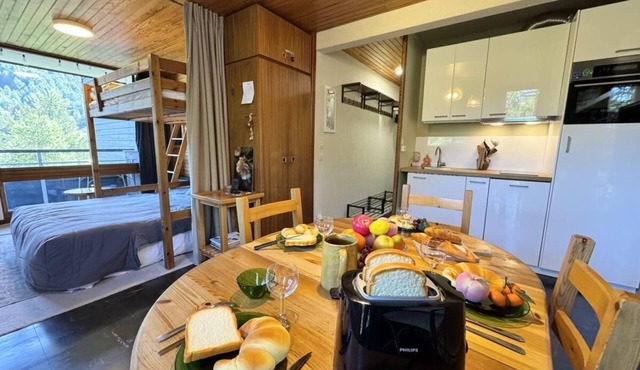 100m from shops, 4th floor, view open/mountain, terrace, tv, 32m², Vars in Vars