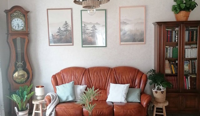1st floor apartment at the foot of the Pyrenean mountains. in Sarrancolin