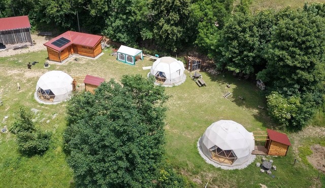 3 Domes: The Mush's Rooms Alpacas and Starry Nights in Belsentes