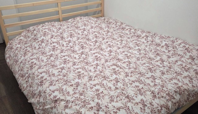 Accommodation near Lyon Airport, 15 minutes away, room
