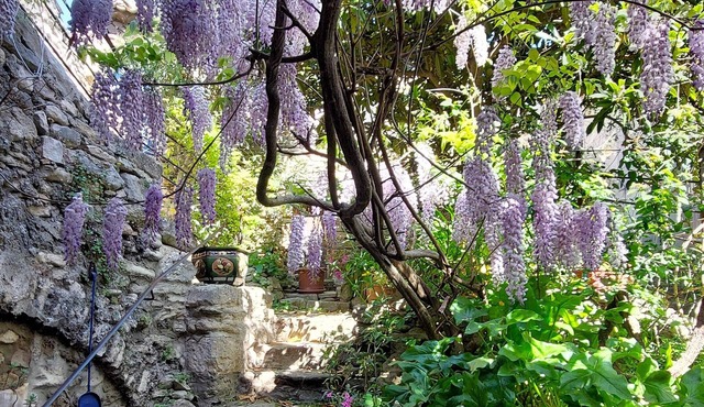 Artist's Paradise in Provence! - Views, Peace, Village Centre
