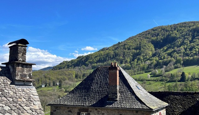 Authentic Cantalien house with garden and view of Puy Mary in le vaulmier