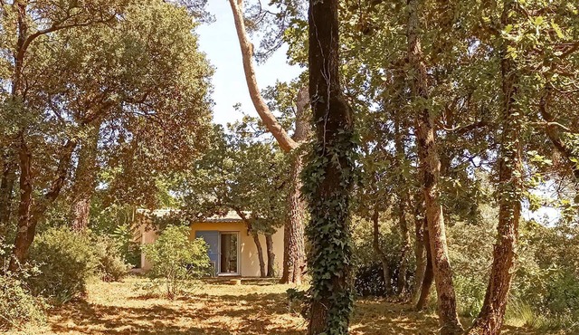 Awesome home in Besse sur Issole with WiFi