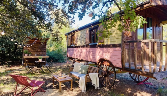 Bohemian caravan in the heart of nature with horses and donkeys