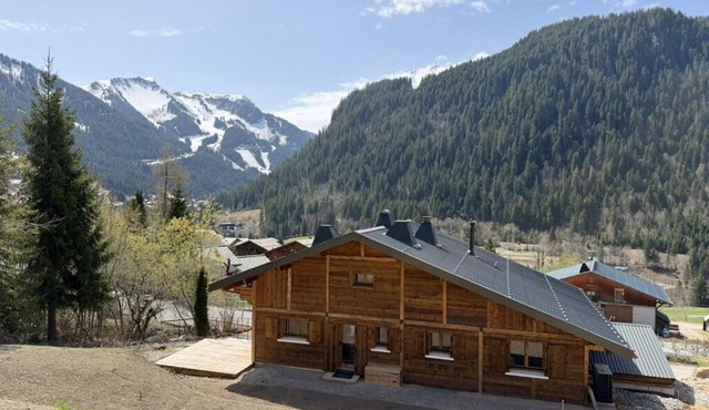 Bright, relaxing and spacious property in Châtel in Châtel