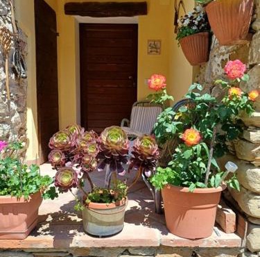 Casa Galla in Ovada
