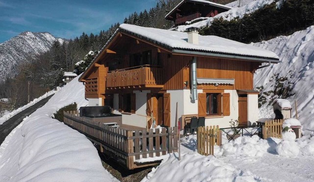 Chalet ECUREUIL domaine du FRAIZIER private jacuzzi, near ski resorts ANNECY