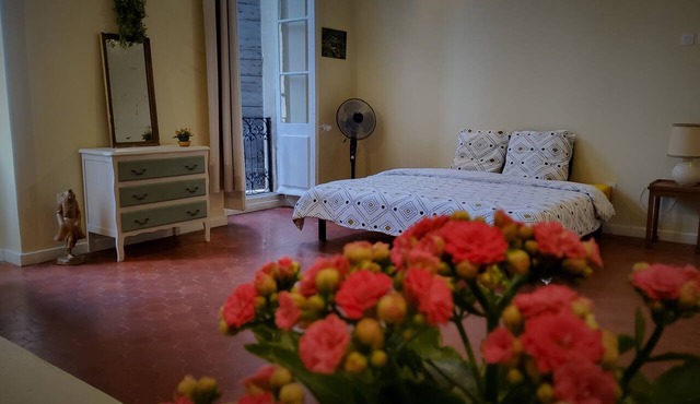 Charming and bright studio apartment (Near Avignon & the vineyards)