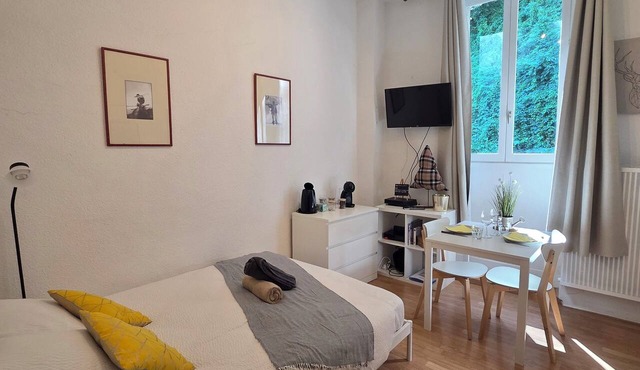 Charming studio in the heart of uriage