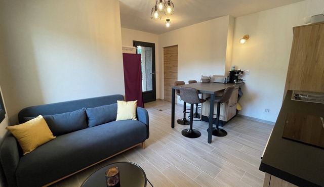 Charming new T2 apartment 2 minutes walk from the village center