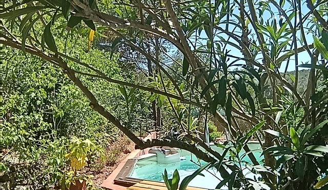 Charming Provencal house with swimming pool near Aix en Provence