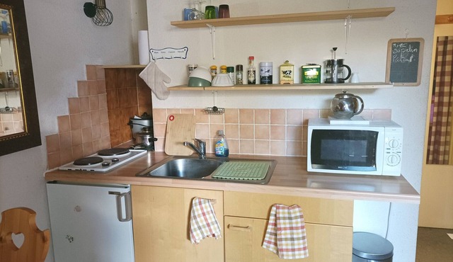 Charming Studio in Sauze - 3 People - Balcony Mountain View in Enchastrayes